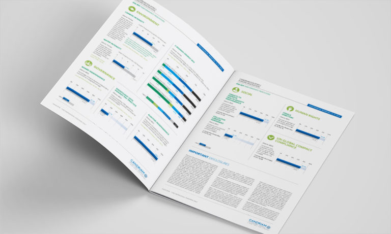 CAND_template-Reporting_02