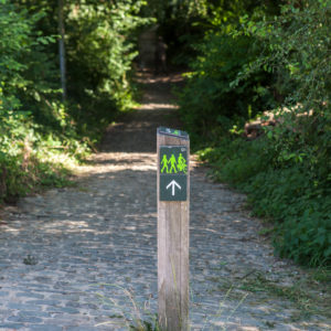 IMG_4412_L